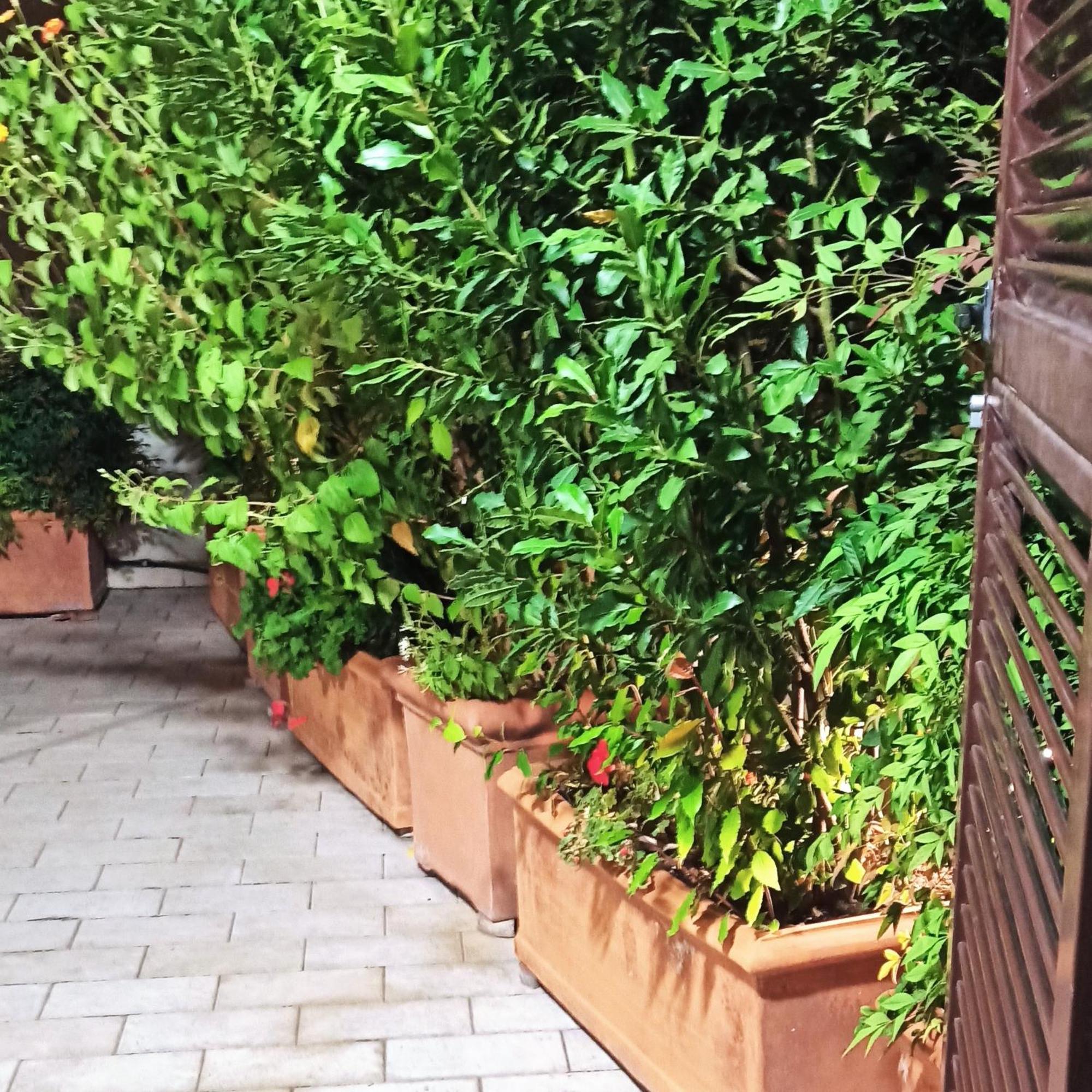 Living By Vatican With Panoramic Terraces In Rome — Photos 2